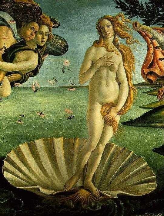 Florence Les Offices Naissance de Vénus