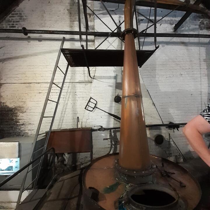 L’un des alambics à la distillerie Persyn